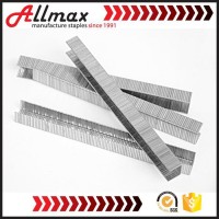 Passed SGS test fence galvanized staple wire